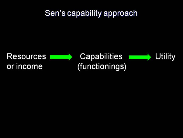 Sen's capability approach