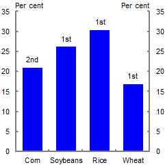 This chart shows China’s share of global consumption of corn, soybeans, rice and wheat. China consumes roughly 20 per cent of global corn consumption (ranked 2nd), over 25 per cent for soybeans (ranked 1st), 30 per cent for rice (ranked 1st) and around 17 per cent for wheat (ranked 1st).